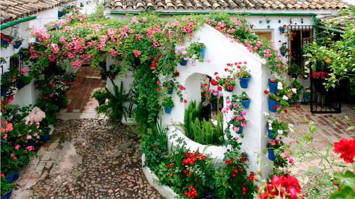 Visita virtual a los patios de Córdoba desde casa..