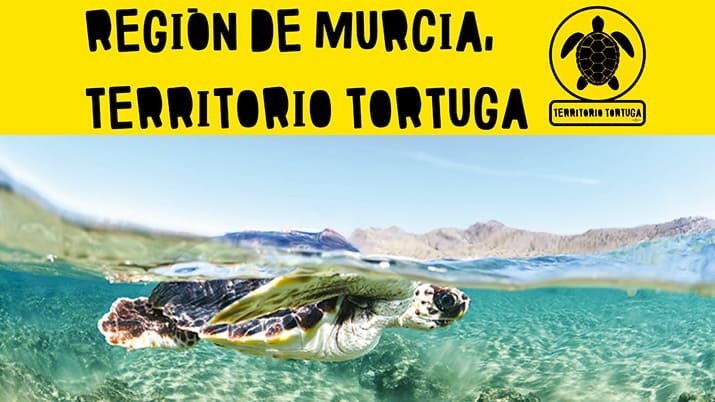 Actividad especial: Punto de Información Móvil Territorio Tortuga