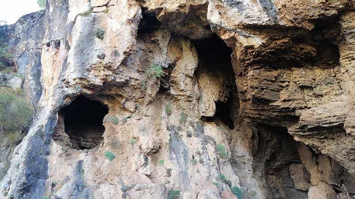 cuevas del buitre