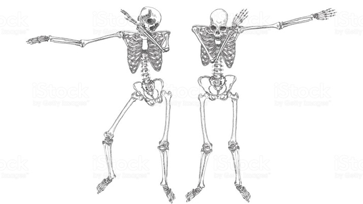 Esqueletos en movimiento