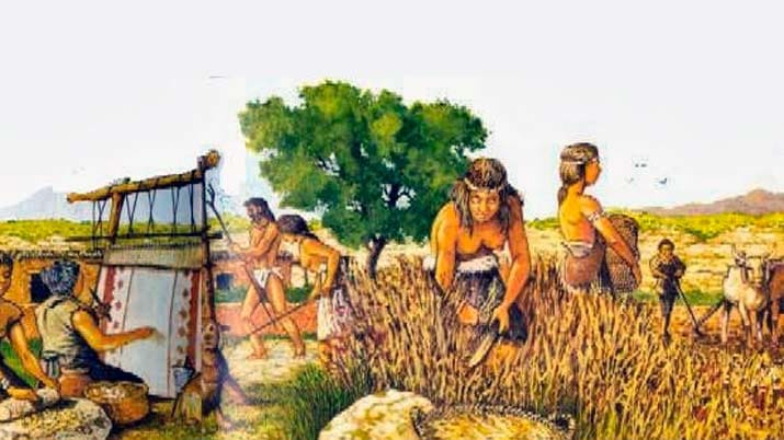 Los cultivos en época prehistórica
