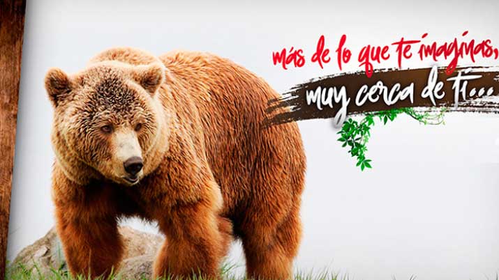 Los osos de Terra Natura cumplen 20 años!