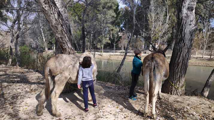 jornada etnografica con burros valle de ricote 4