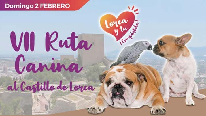 VII Ruta Canina Solidaria al Castillo de Lorca