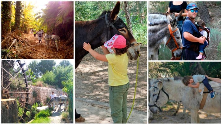 Jornada etnográfica de senderismo con burros en el Valle de Ricote