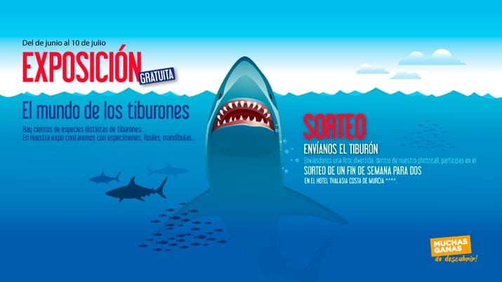Exposición: El mundo de los tiburones