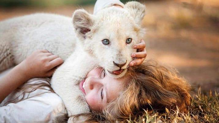 Mía y el león blanco