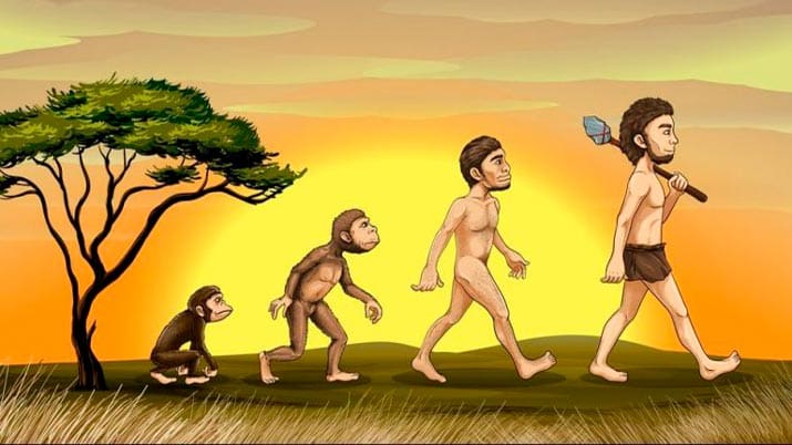 El largo camino de la evolución