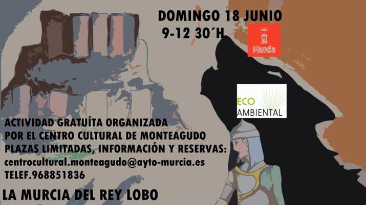 La Murcia del rey Lobo y los palacios medievales de Monteagudo