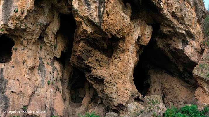 Descubre la rambla de las Cuevas del Buitre